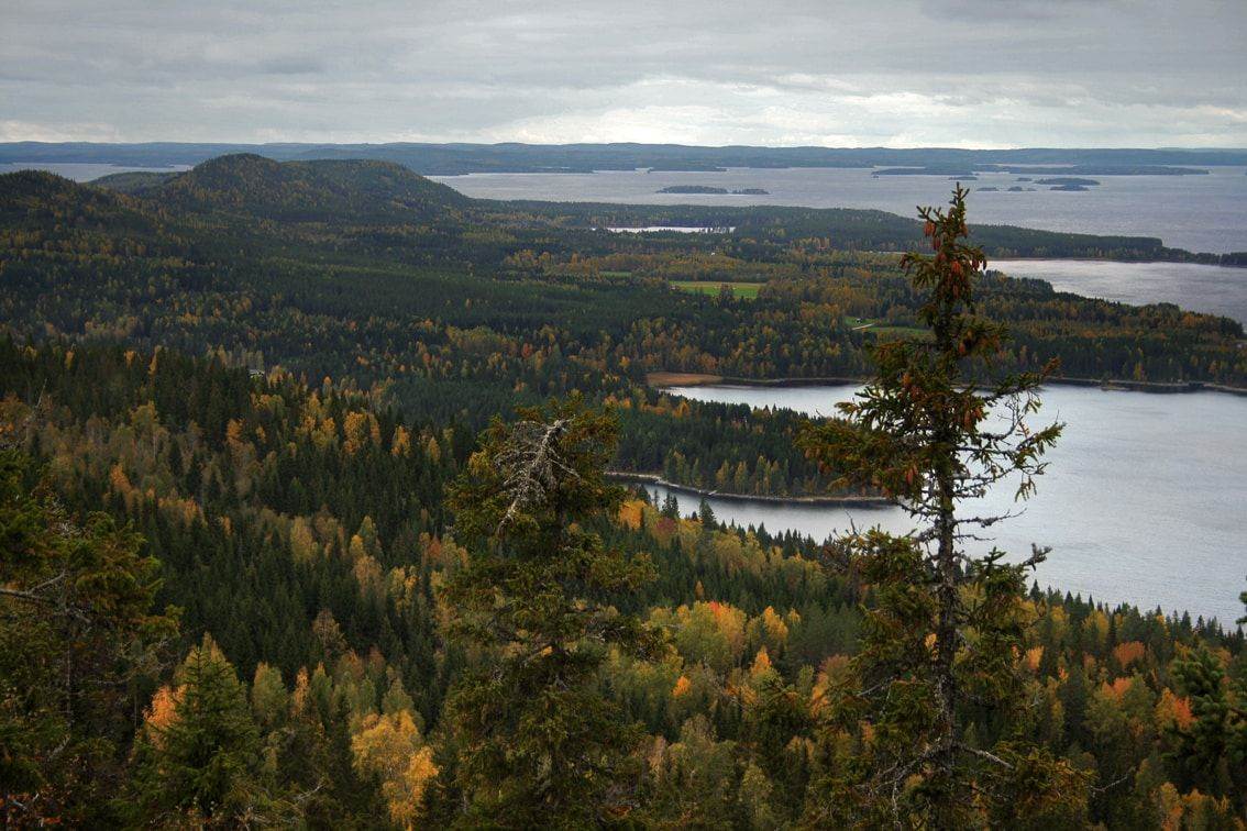 Allemansrätten does not apply to nature reserves and other protected nature areas