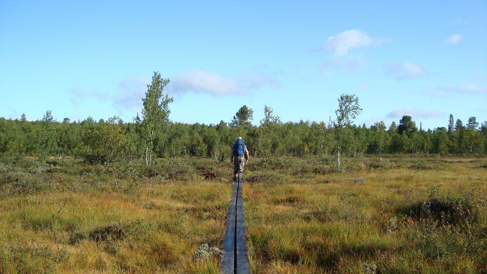 The Kungsleden hiking trail was founded at the end of the 19th century by the "Svenska Turistföreningen" to show people the beauty of Lapland.