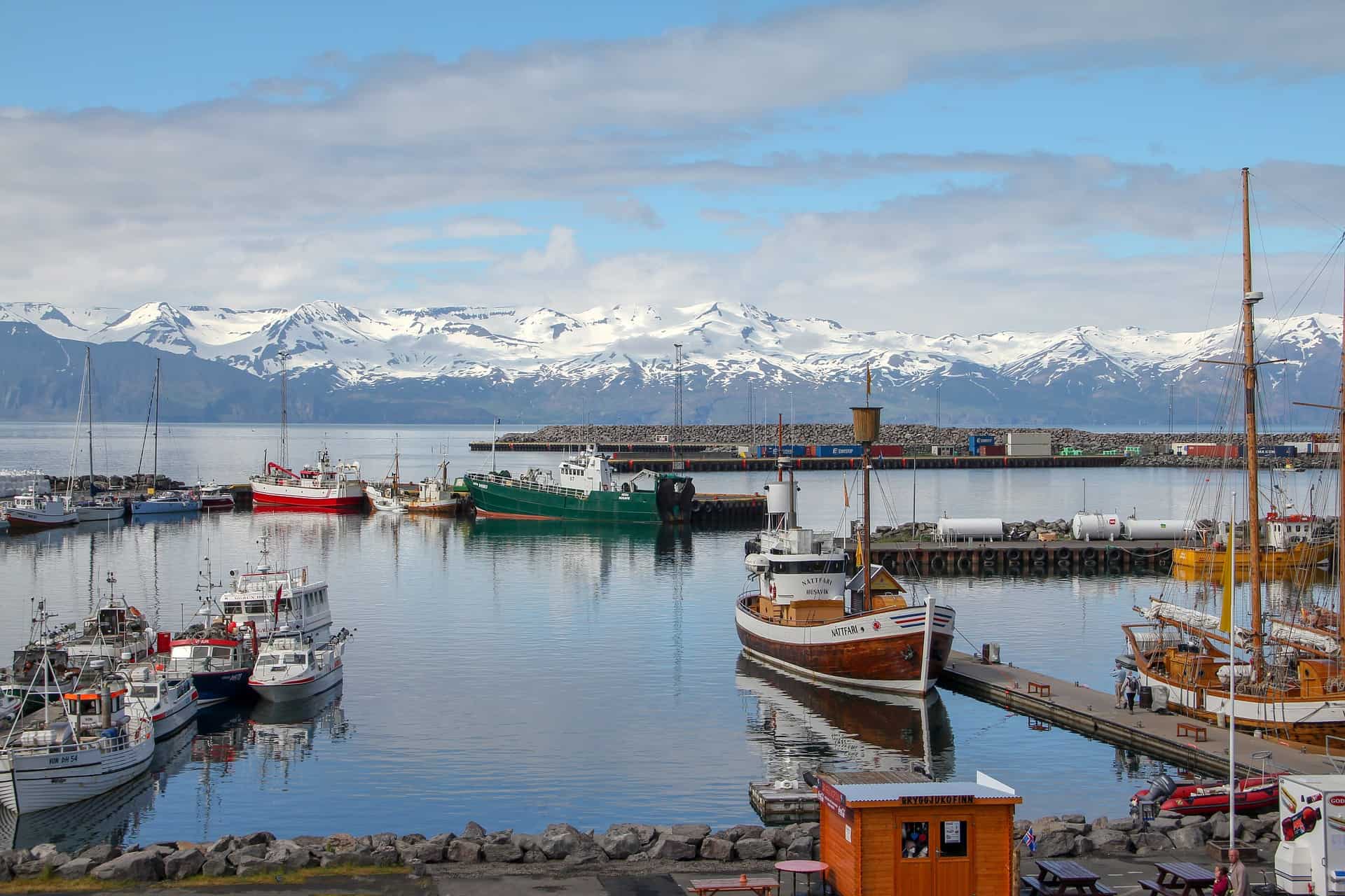 Iceland is situated on the edge of the North Pole and is a country like no other.