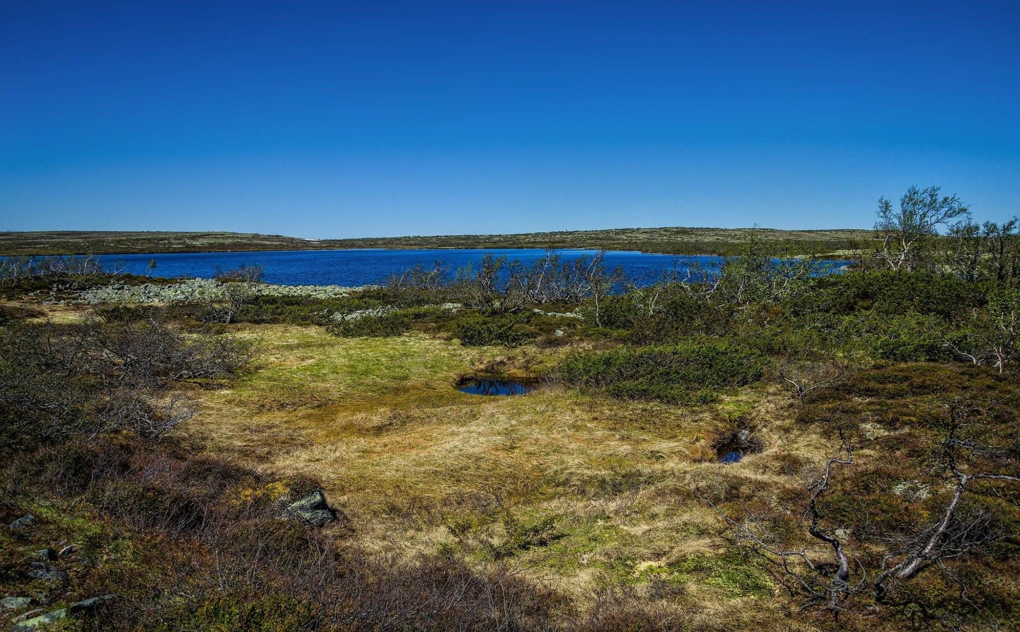 In total there are about 140 kilometers of marked trails in Fulufjället. Good for a walk from a few hours to a few days.