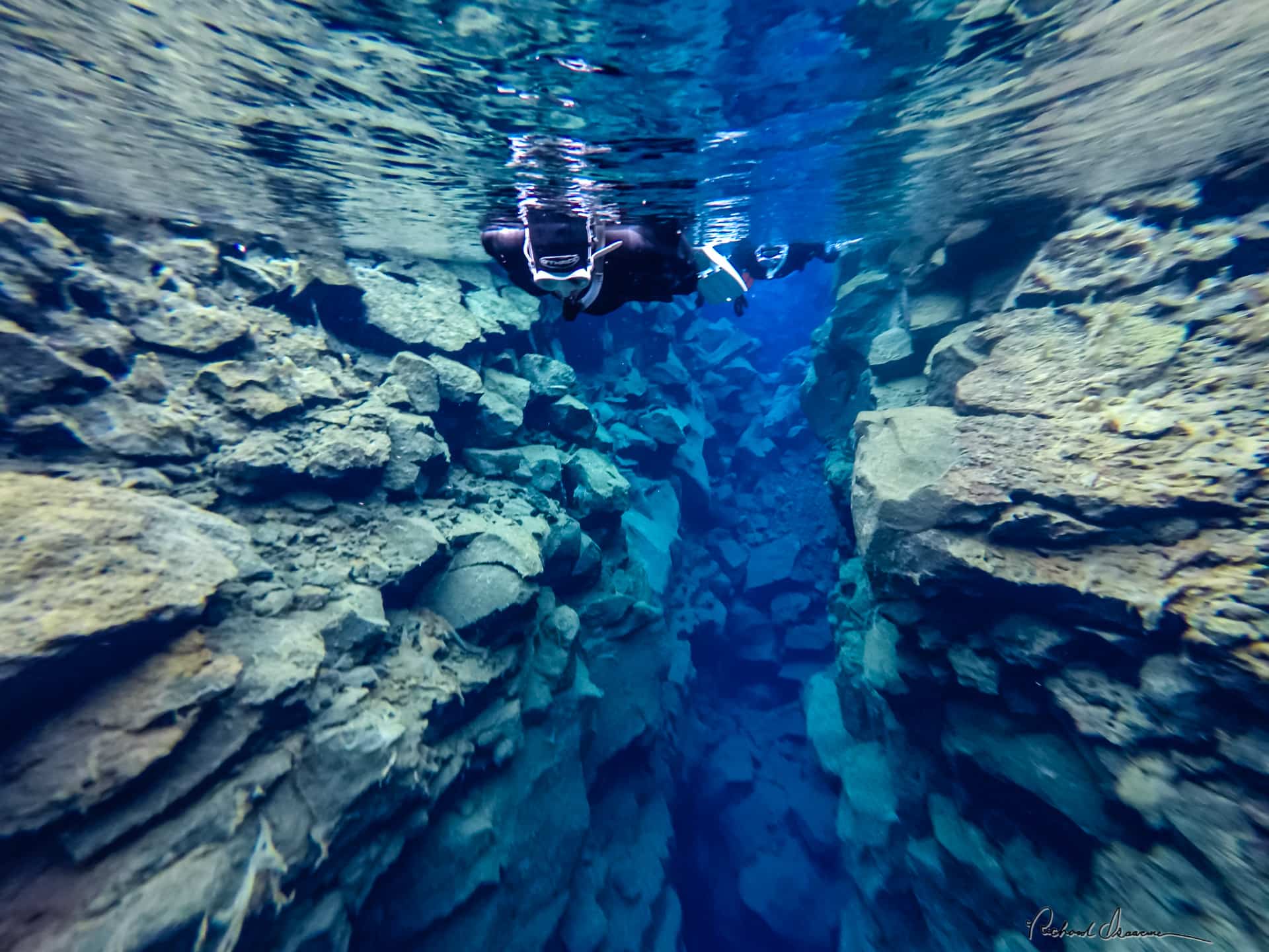 The most famous place for snorkeling or diving in Iceland is the Silfra gorge, in the Thingvellir national park.