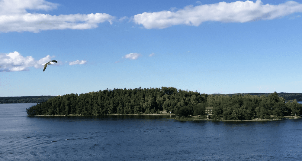 Delsjön is a 3200 acre park/nature reserve that makes a great day trip from the city.